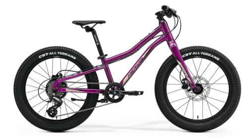 matts j.20+ purple.jpg