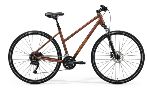 CROSSWAY 100 LADY BROWN.png