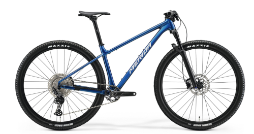 BIG.NINE 700 2025.png