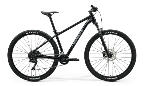 big.nine 100 2025.png